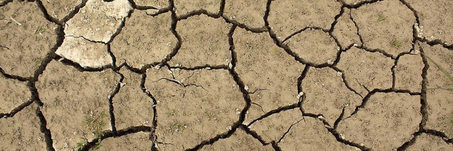 soil-degradation-causes-and-consequences