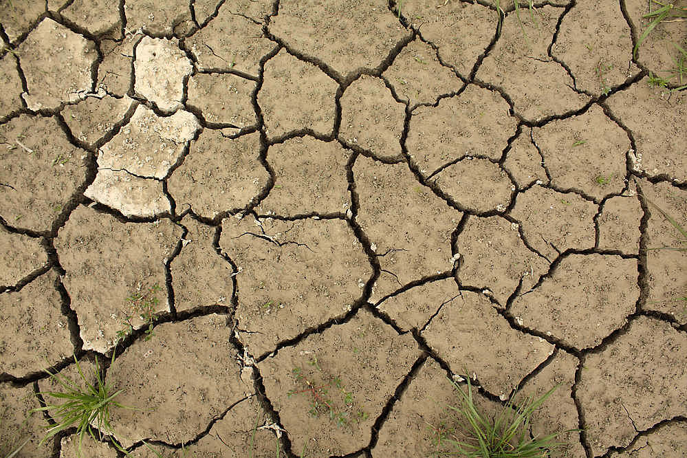 soil-degradation-causes-and-consequences