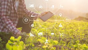 internet of things in agriculture