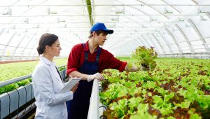biotechnology in agriculture